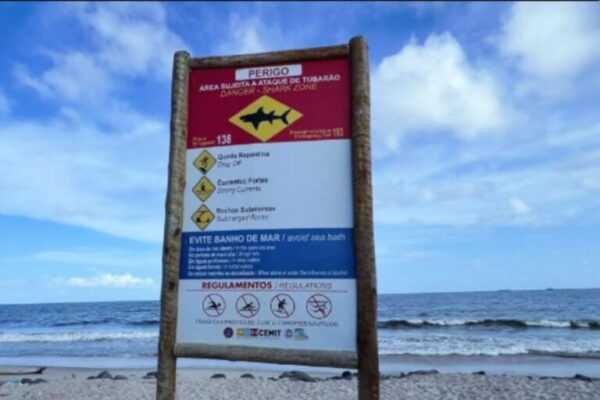 fase-da-lua-pode-influenciar-ataques-de-tubarao-em-pernambuco.-entenda