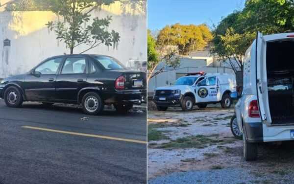 go:-pets-filhotes-sao-resgatados-de-porta-malas-de-carro-sob-sol-forte